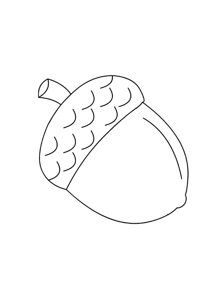 Nuts Drawing Image