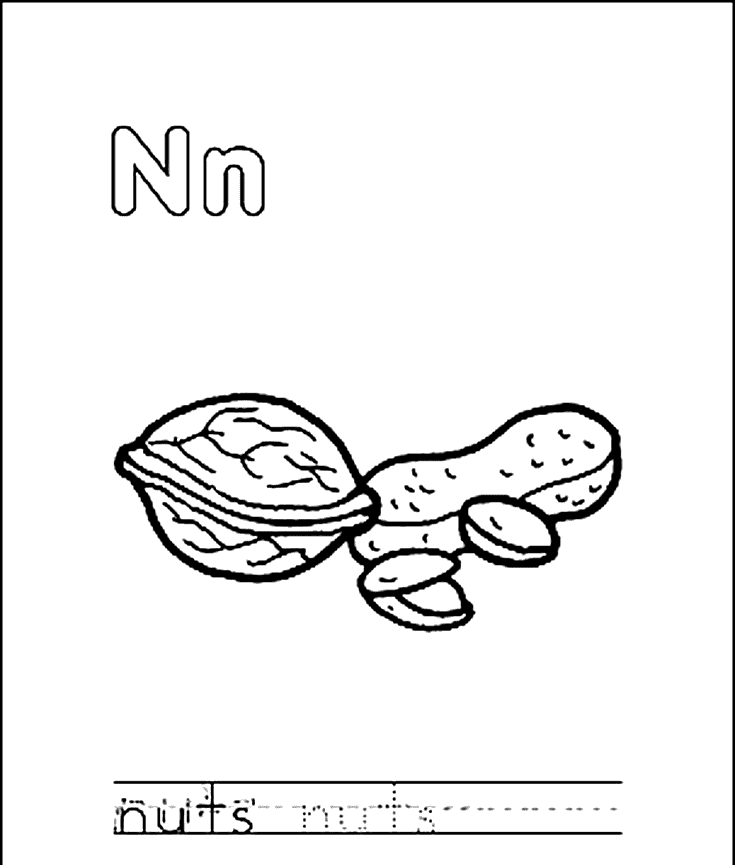 Nuts Picture For Kids