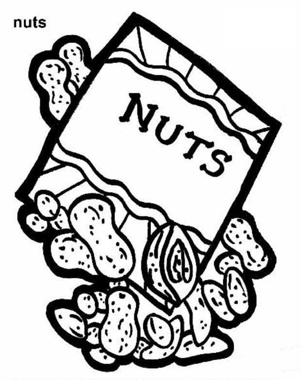 Nuts Printable Image