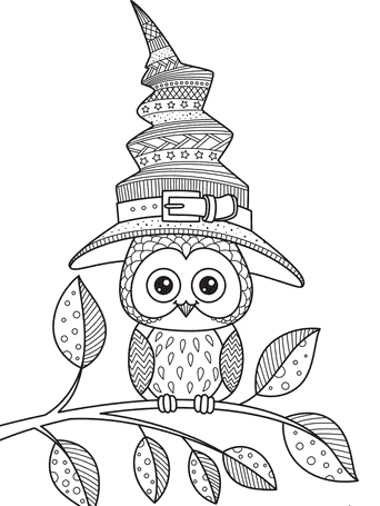 Owl Coloring Page for Adults Image
