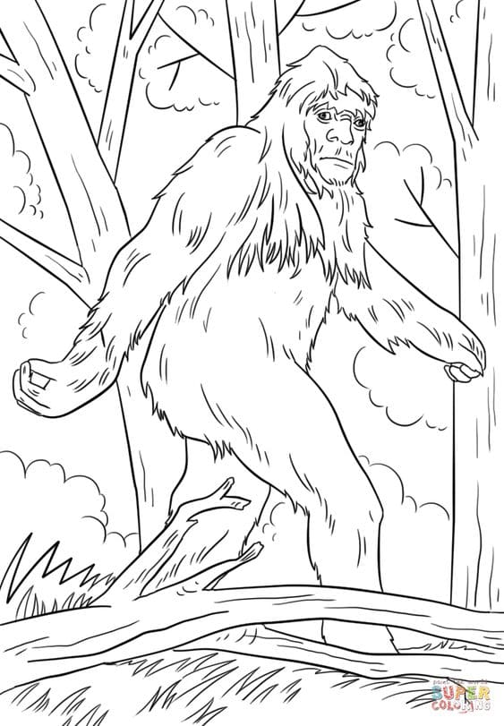 Picture Of Bigfoot