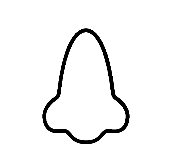 Picture Of Nose