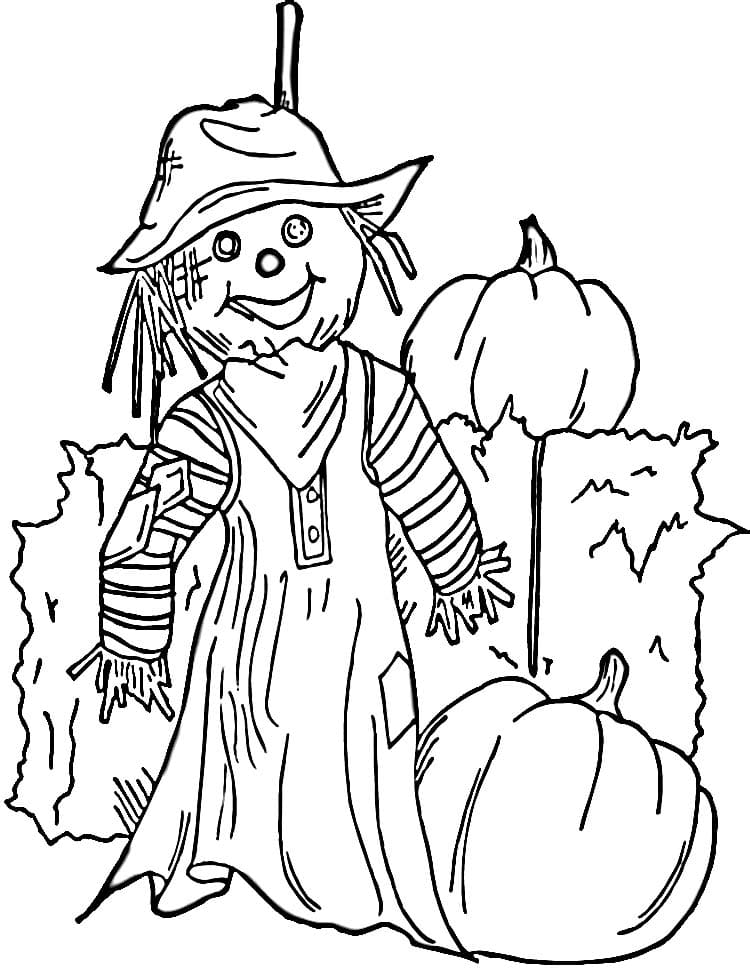 Picture Of Scarecrow Pretty
