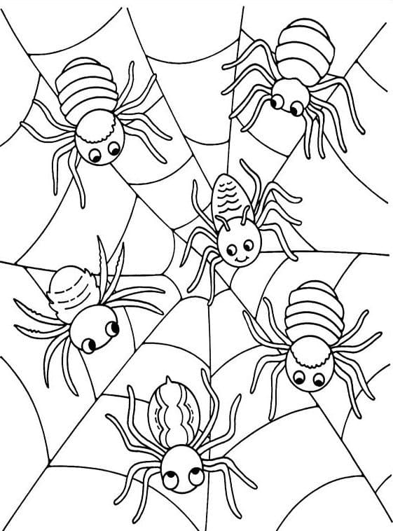 Printable Halloween Spiders Web Image For Children Coloring Page
