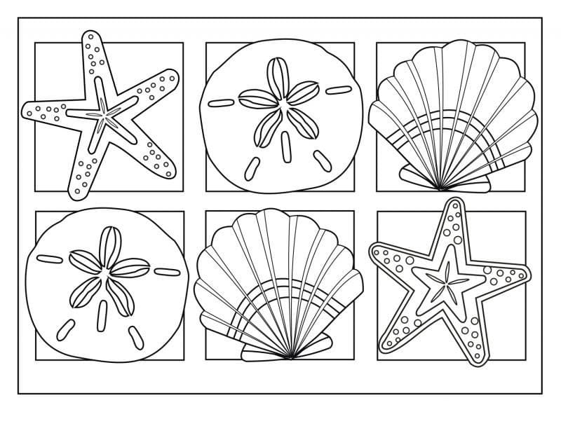 Printable Seashell For Children Coloring Page