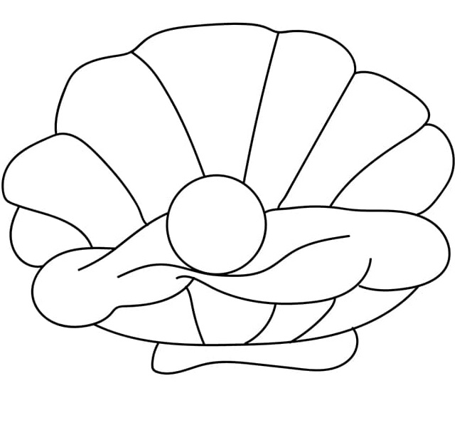 Printable Seashell Image Kids Coloring Page