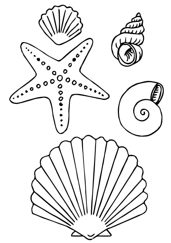 Printable Seashell Kids Coloring Page