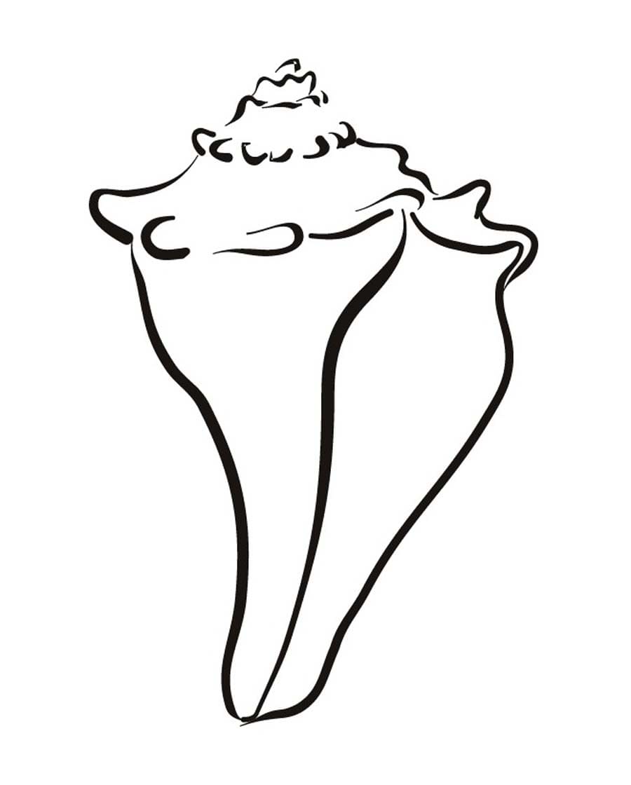 Printable Seashell Picture Coloring Page