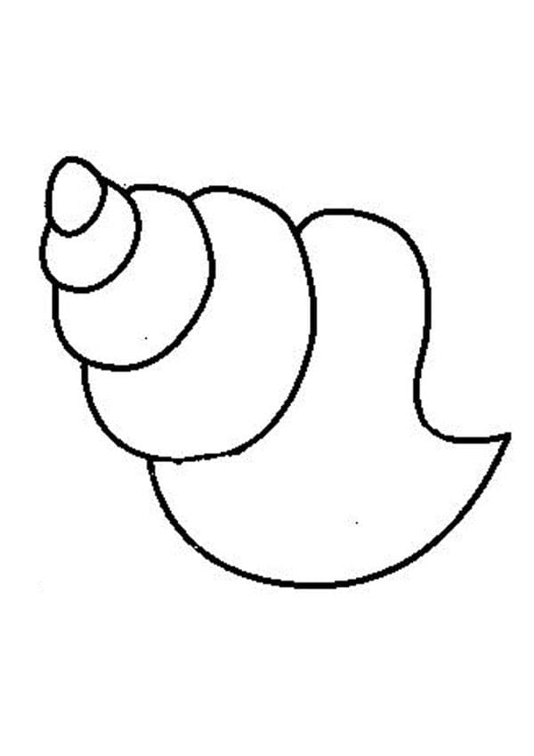 Printable Seashell Sweet Image For Children Coloring Page
