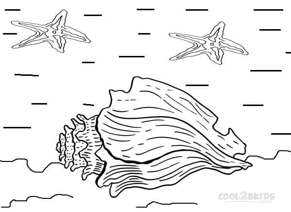 Printable Seashells Image For Children Coloring Page