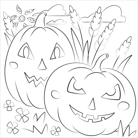 Pumpkin Patch Image For Kids