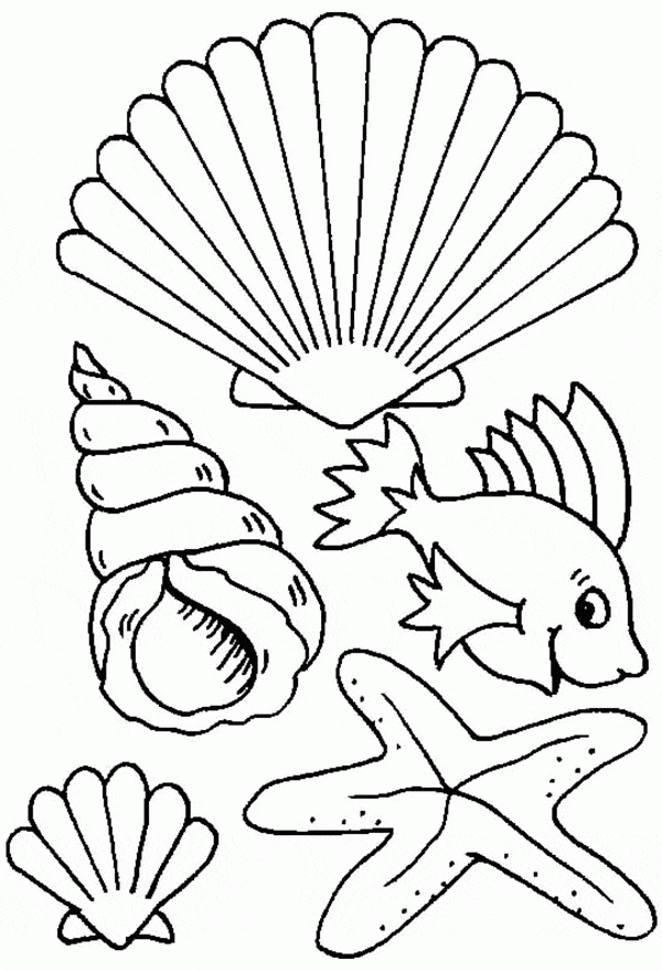 Sea Shell Clip Art Image Coloring Page