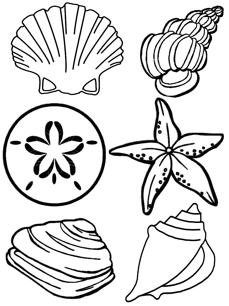 Sea Shells Cute Coloring Page