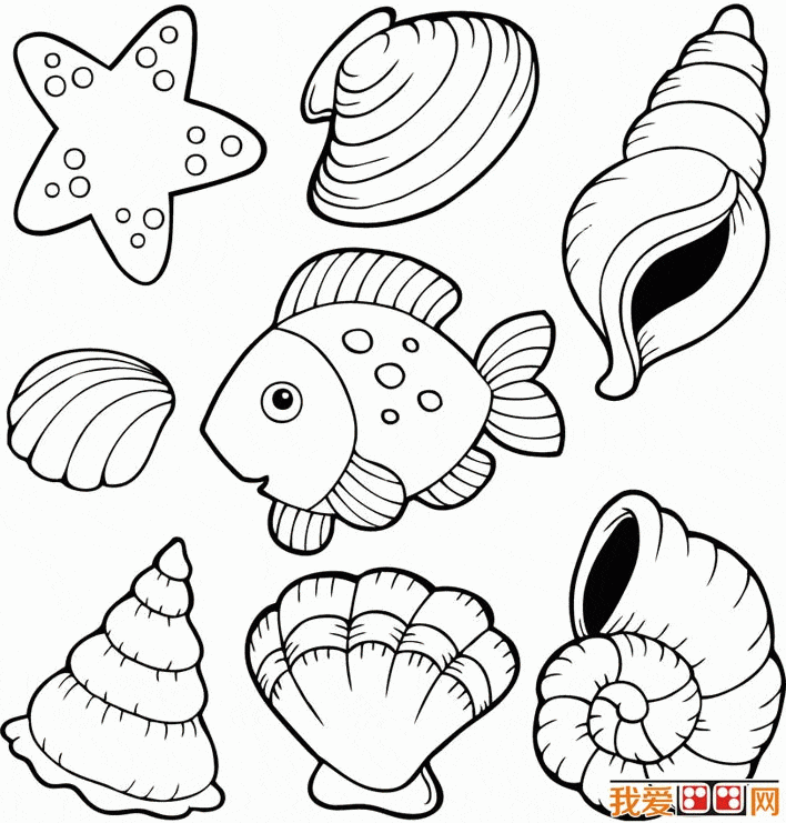 Sea Shells Match Up For Children Coloring Page