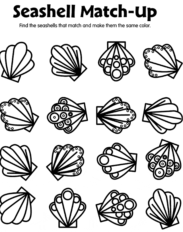 Sea Shells Match up Coloring Page