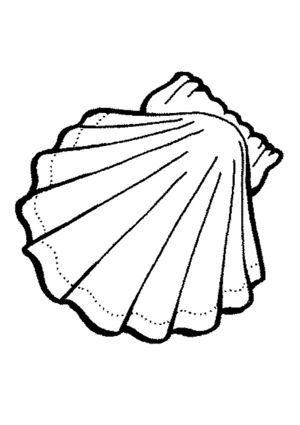 Sea Shells Sweet Image Coloring Page