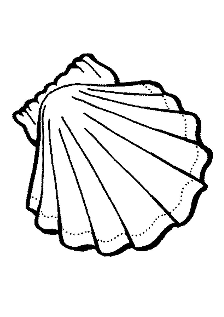 Sea Shells Sweet Coloring Page