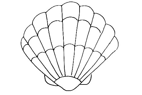 Seashell-Drawing-10