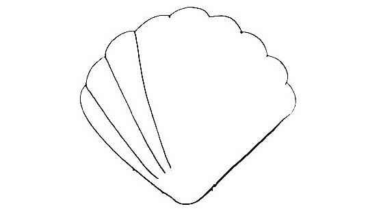 Seashell-Drawing-4