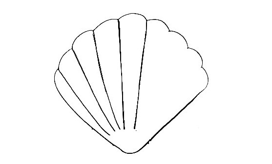 Seashell-Drawing-5