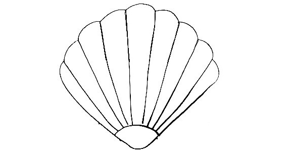 Seashell-Drawing-7