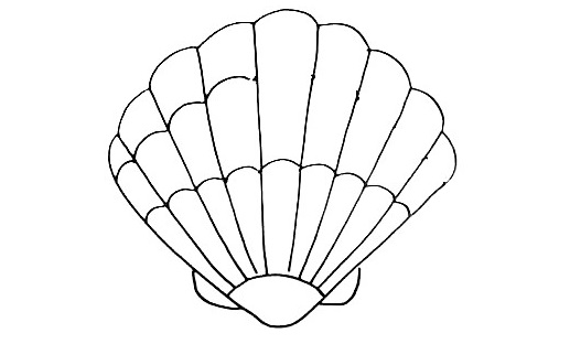 Seashell-Drawing-9