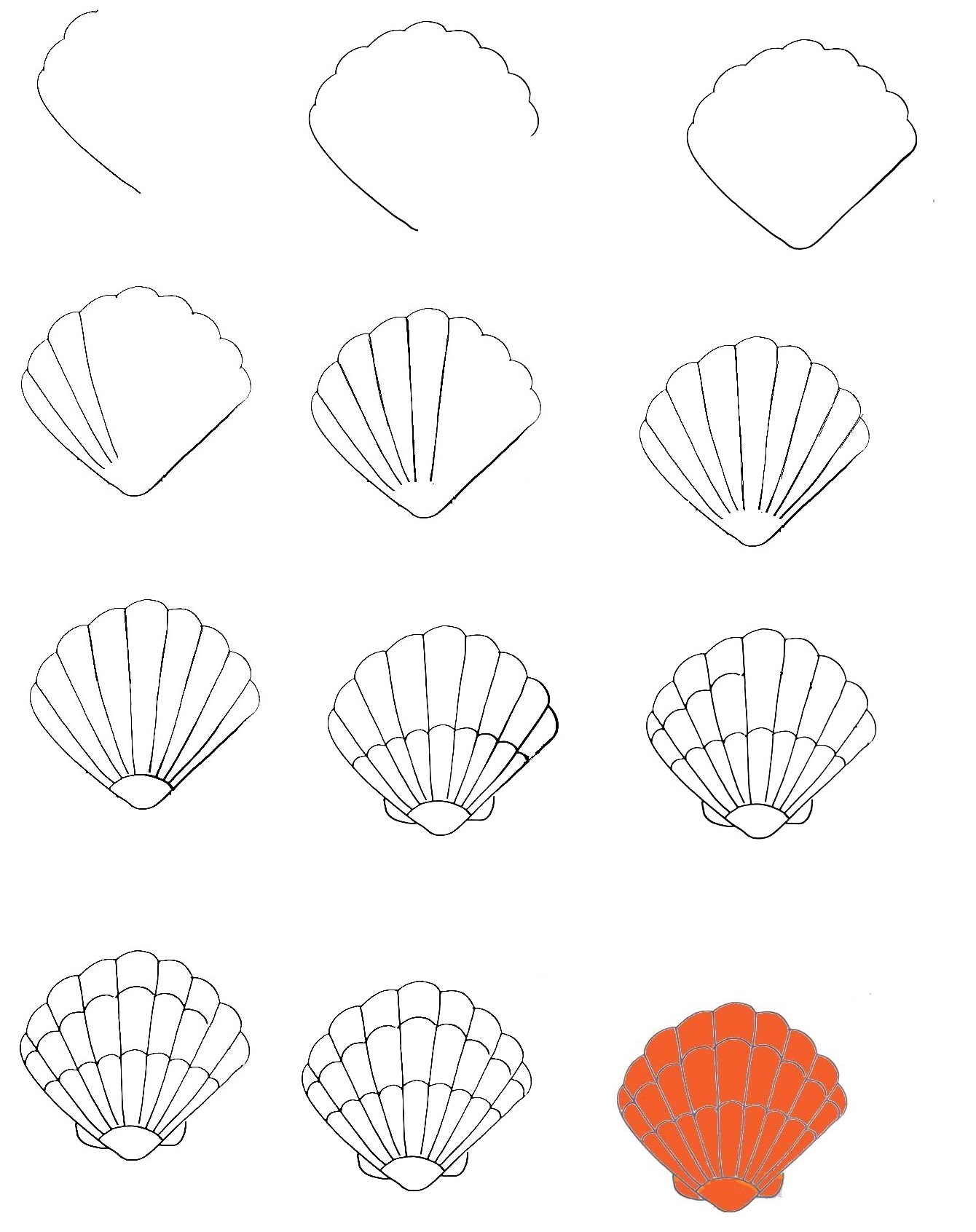 Seashell-Drawing