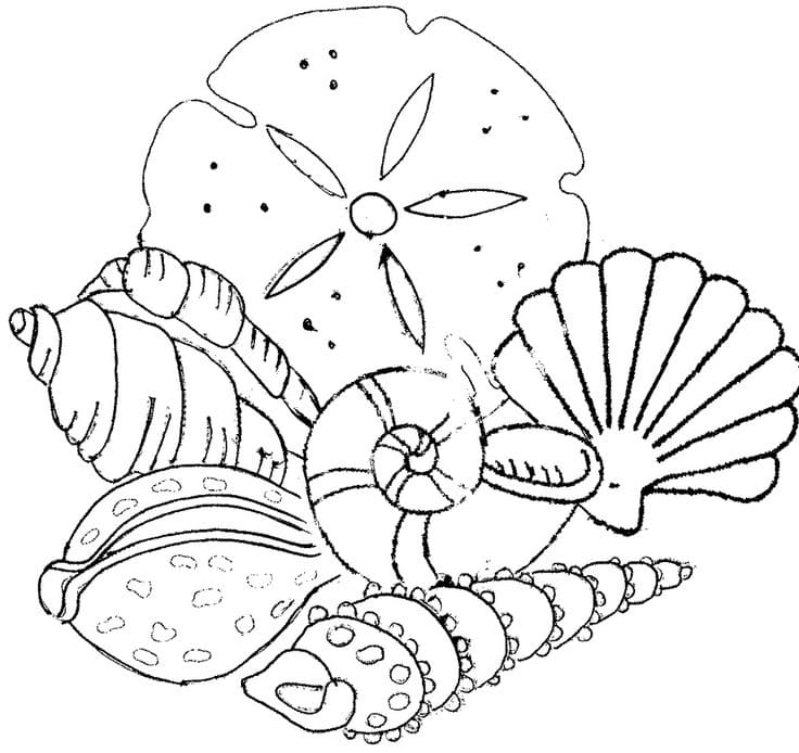 Seashells Embroidery Pattern