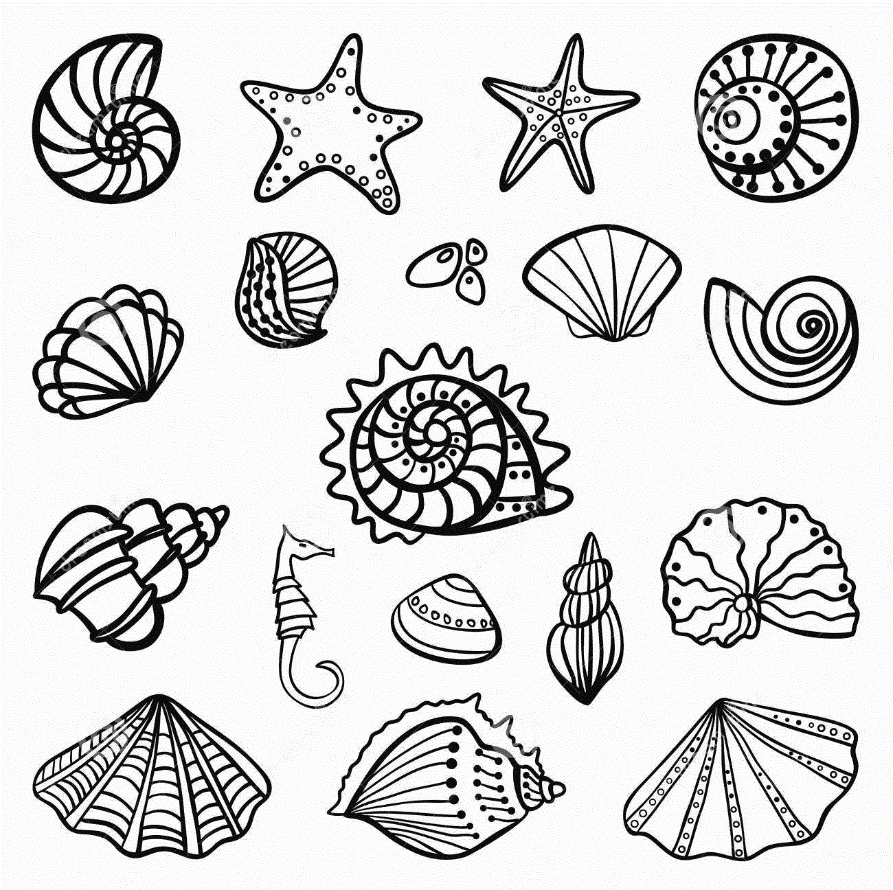 Seashells For Children