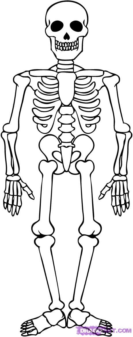 Skeletons Halloween Image For Children