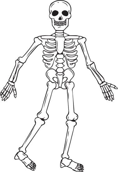 Skeletons Halloween Image For Children