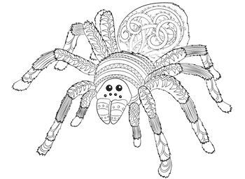 Spider Halloween Coloring Page for Adults