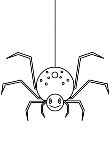 Spider Image For Children