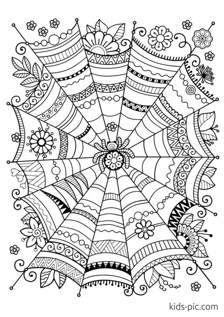 Spider Sweet Picture Coloring Page