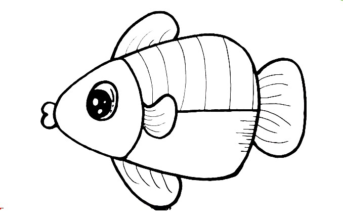 Sunfish-Drawing-7