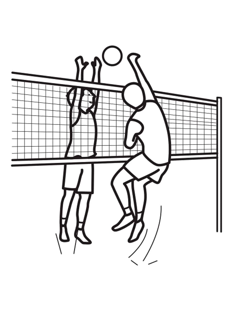 Sweet Volleyball Image