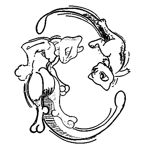 Two Mewtwo Image Coloring Page