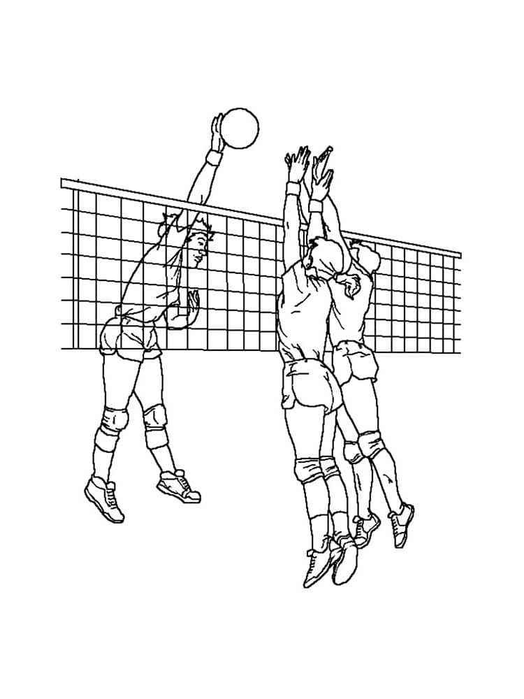 Volleyball Picture Cute Coloring Page