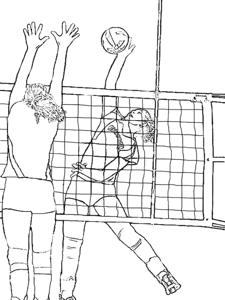 Volleyball Sweet Image