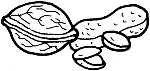 Walnut, Peanut and Pistachio Nuts Image