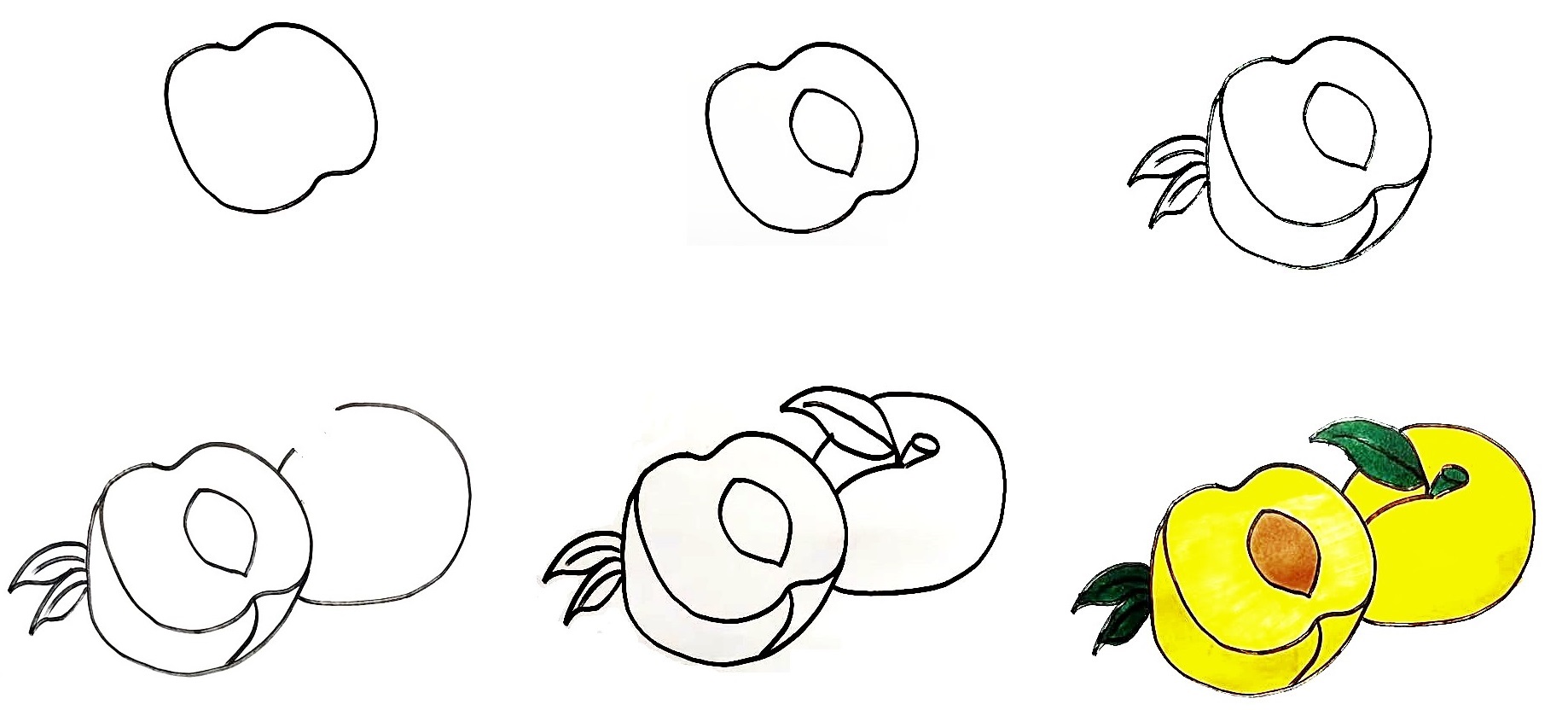 How To Draw The Apricots – 6 Easy Steps Creating Apricots Drawing