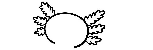 Axolotl-Drawing-5