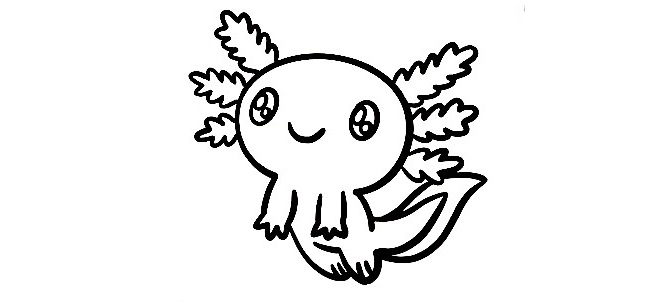 Axolotl-Drawing-8