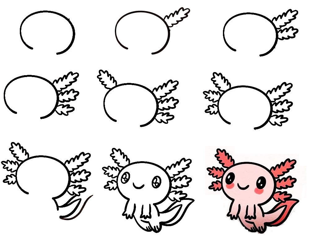 Axolotl-Drawing