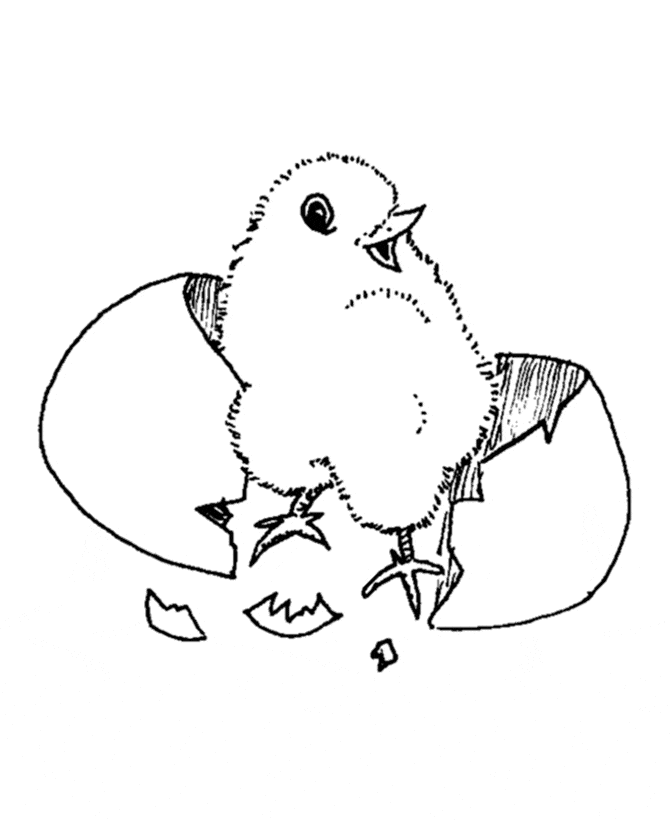 Baby Animals Image For Children Coloring Page