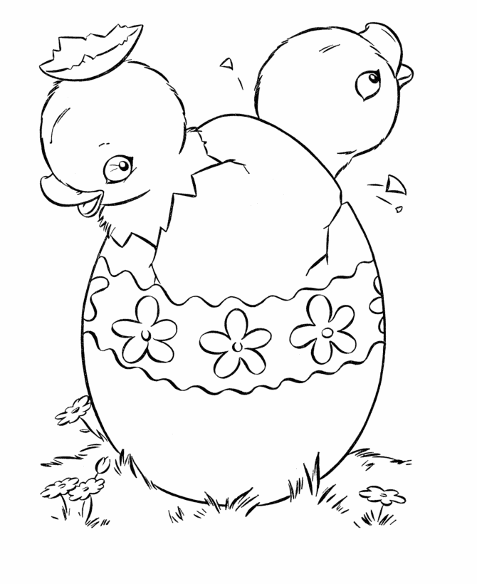 Baby Chick Picture For Kids Coloring Page
