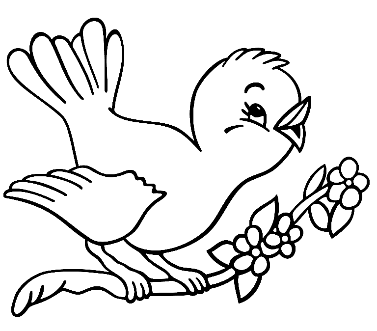 Blue Jay Coloring Pages
