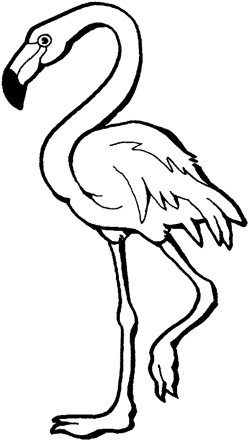Bittern Coloring Pages