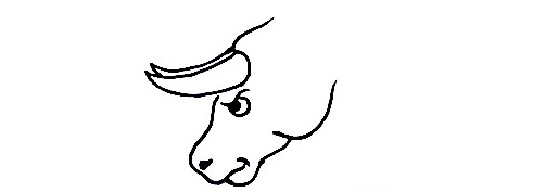 Bull-Drawing-1