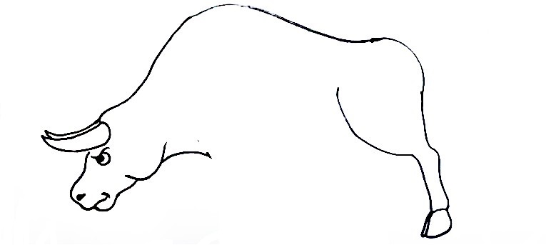 Bull-Drawing-3